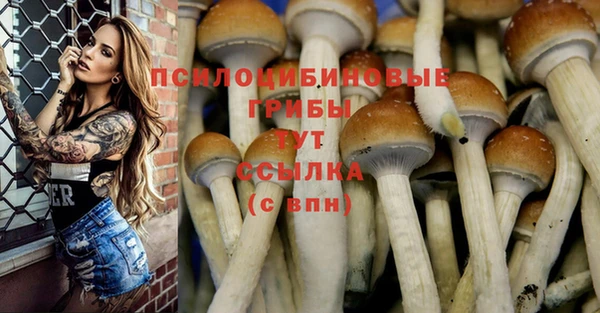 apvp Балахна