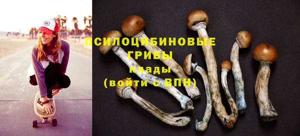 apvp Балахна